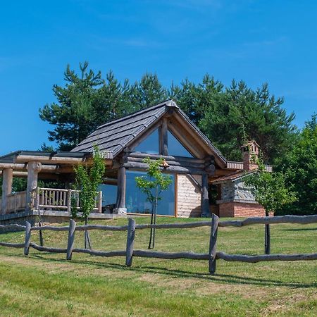 Holiday Home Ernest Zelezni With Hot Tub Ivancna Gorica Exterior foto